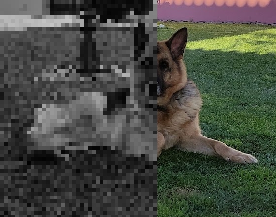 Grayscale 8-bit style pixel art from photo at block size 10