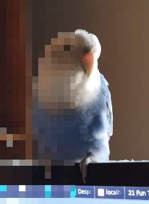 Photo converted to pixel art at block size 7 with default settings